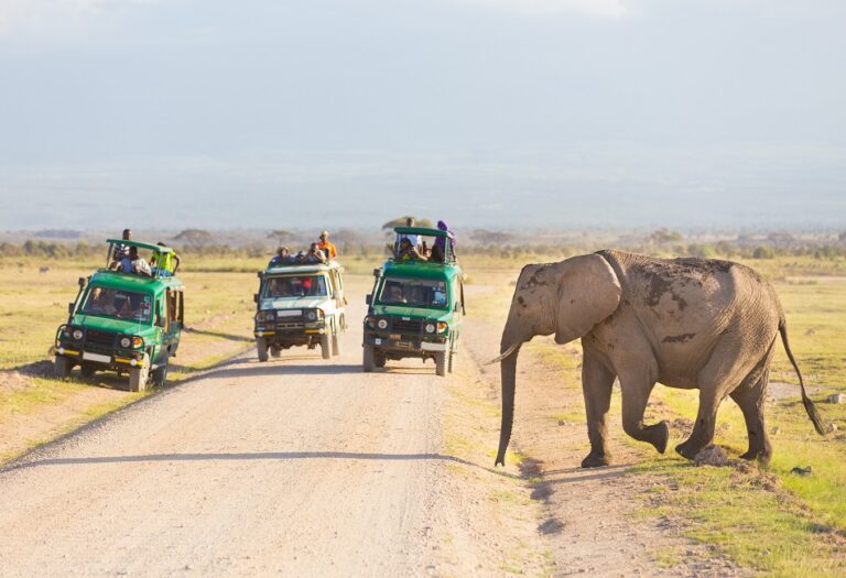 5 Days Tanzania Lodge Safari With Serengeti