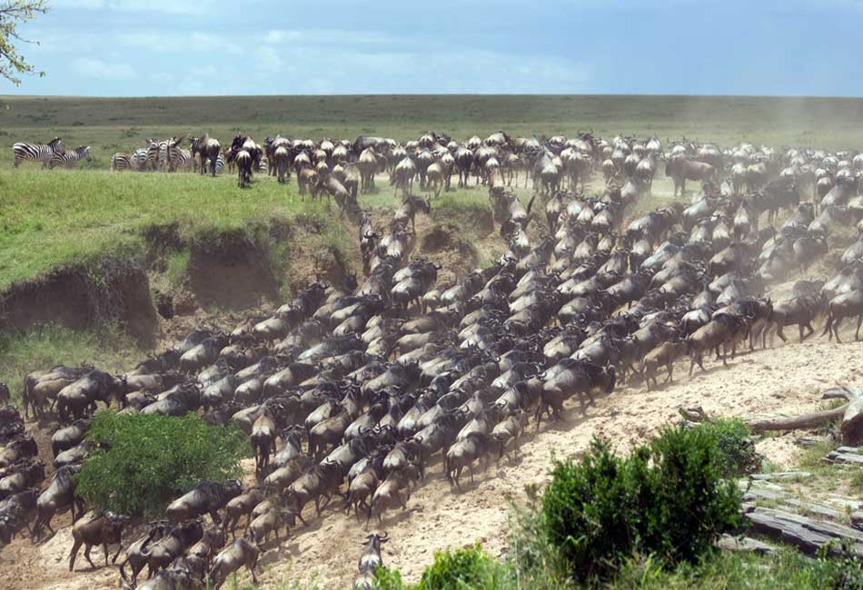 Best Time to Visit Tanzania for Safari and Adventure