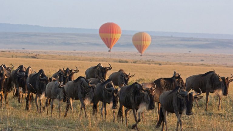7 days safari to Tarangire, Serengeti, Lake Manyara & the Ngorongoro crater
