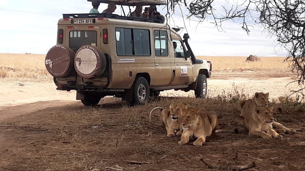 5 Days Tanzania Safaris, Waterfalls And Coffee Tour