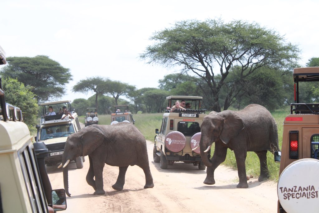 3 Days  Fly-In & Out Ngorongoro and Materuni waterfalls Coffee Tour