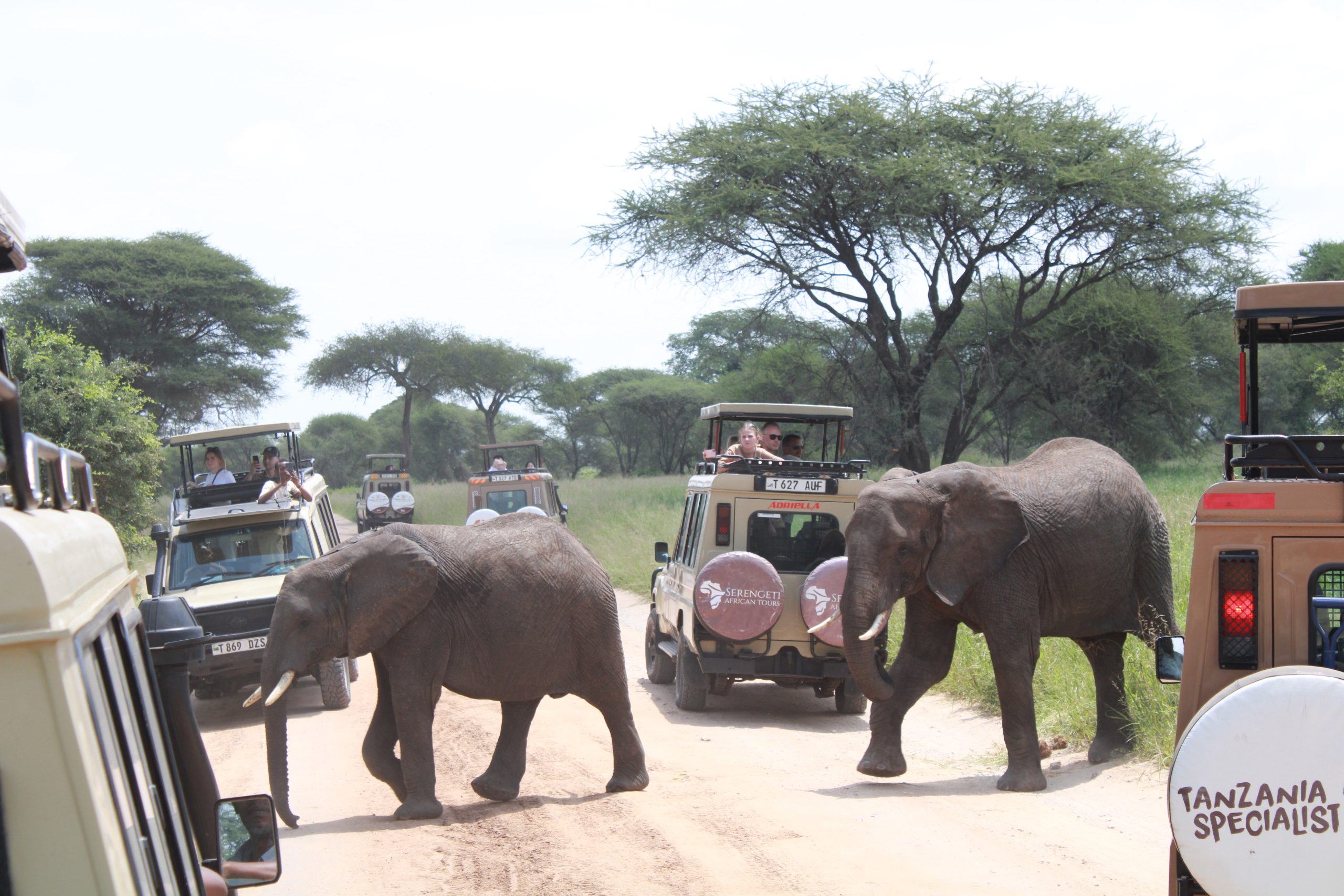 3 Days Fly-In & Out Ngorongoro and Materuni waterfalls Coffee Tour