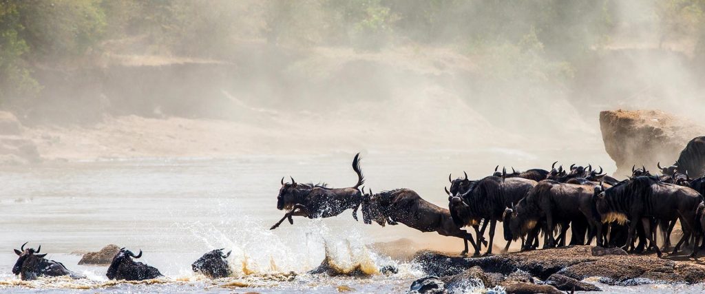 6 days Tanzania Serengeti Wildebeests migrations