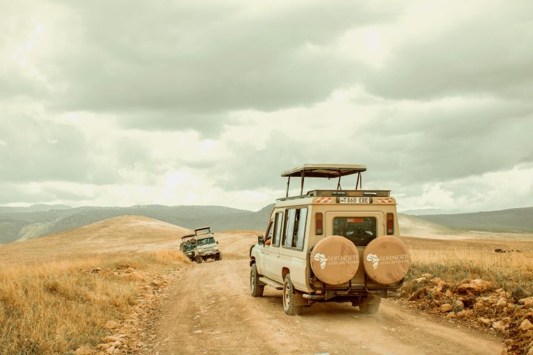 3 days Tanzania big 5 safari-Midrange Lodge