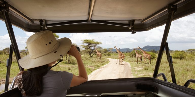 3 Days  Serengeti and Ngorongoro Crater Fly in Safari