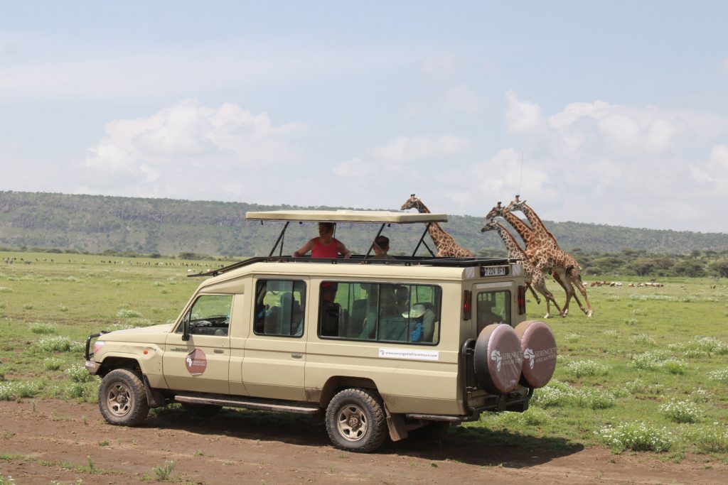 6-Day Safari with Night Game Drive Tanzania
