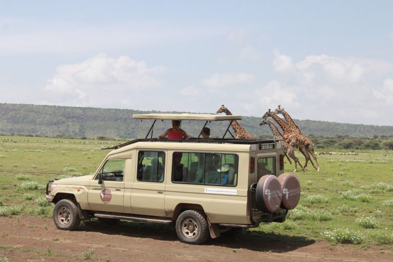 6-Day Safari with Night Game Drive Tanzania