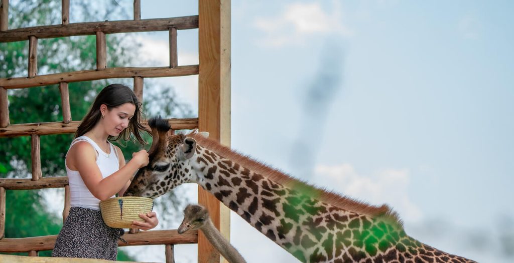 Serval Wildlife Sanctuary Day Tour