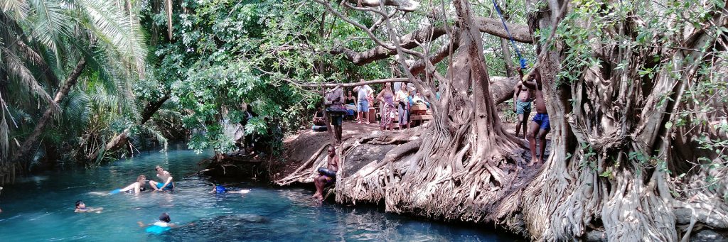 Materuni Waterfalls, Coffee Tour & Kikuletwa Hot- Springs