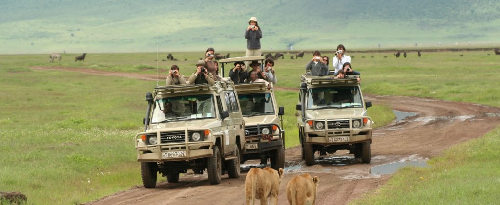 The Ngorongoro Crater Day Trip
