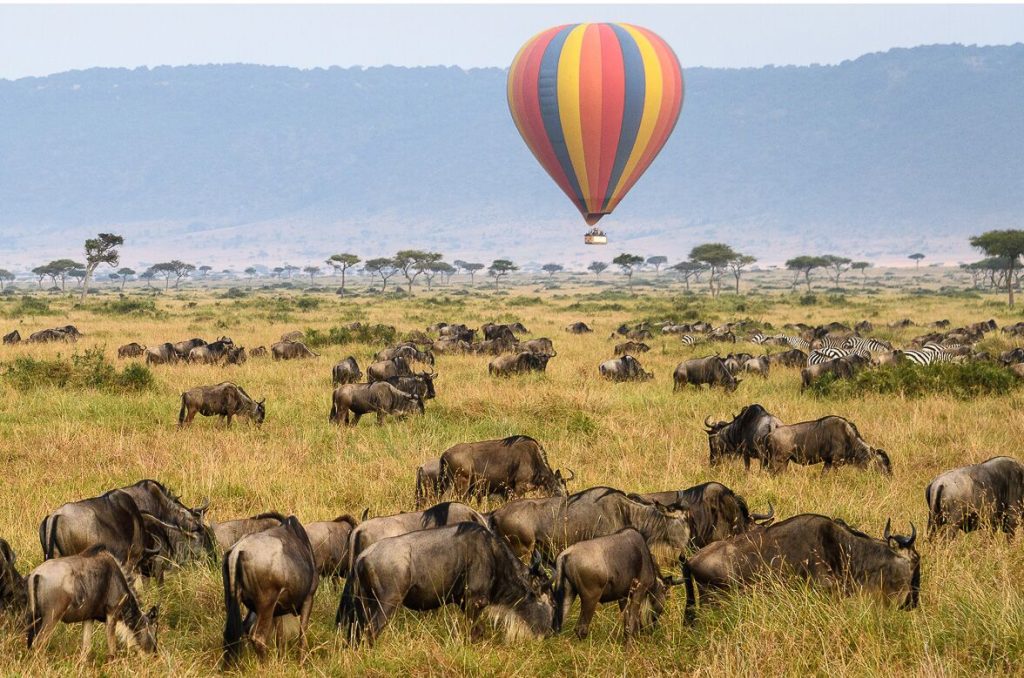 5-Day Tanzania Safari with Hot Ballon