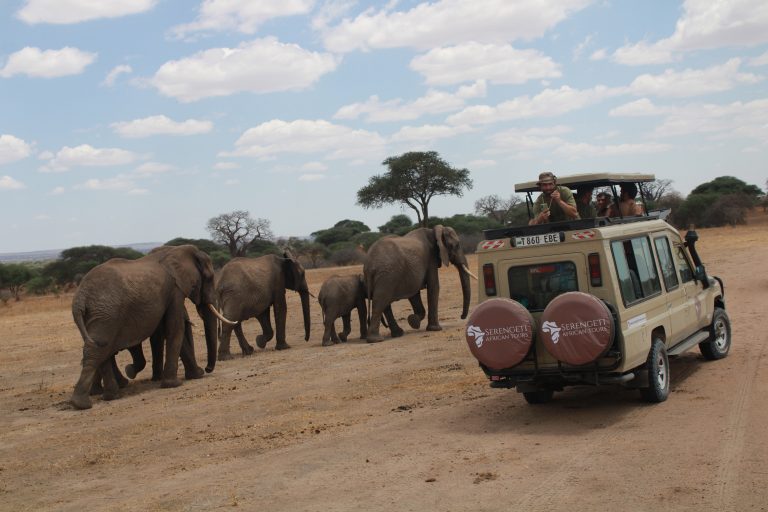 3-Day Waterfalls, Hotspring and Tarangire National Park