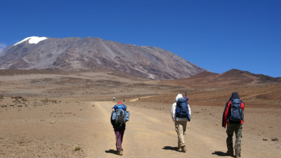 1-Day Kilimanjaro Hike