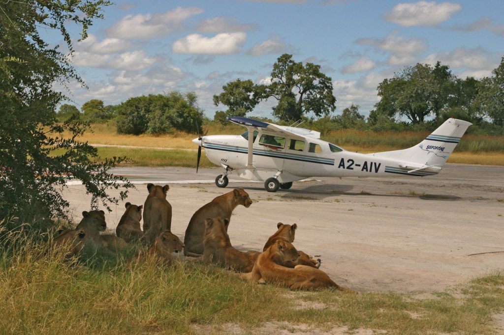 5-Day Fly-in from Zanzibar to Serengeti National Park