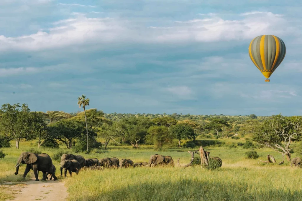 3-Day Safari Getaway with Hot Balloon for Honeymooners