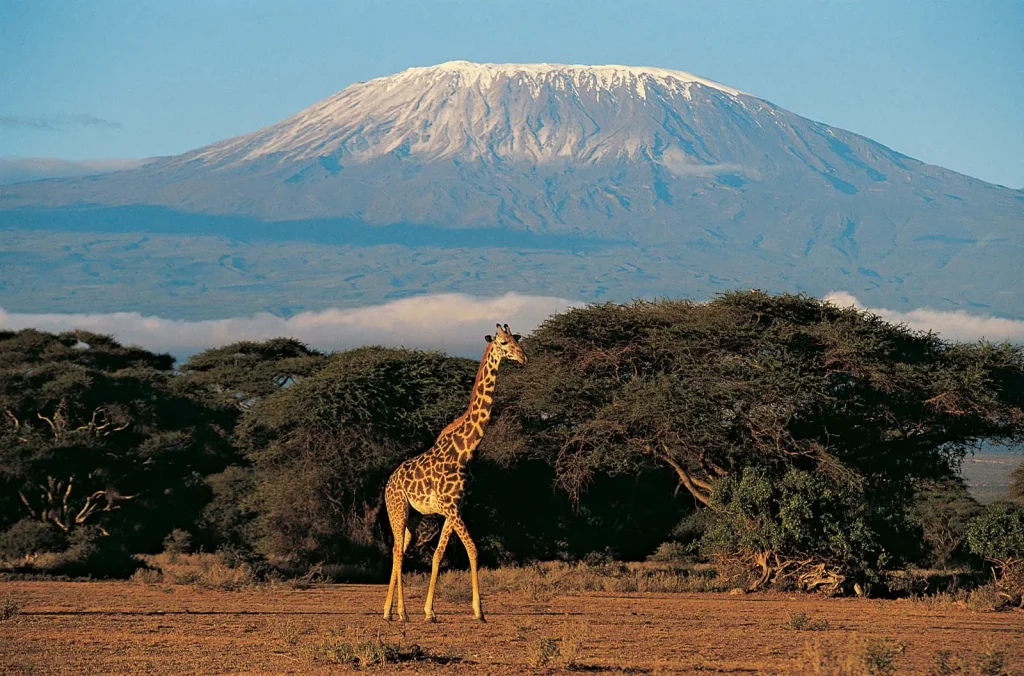 6-Day Striking Kilimanjaro via Marangu Route
