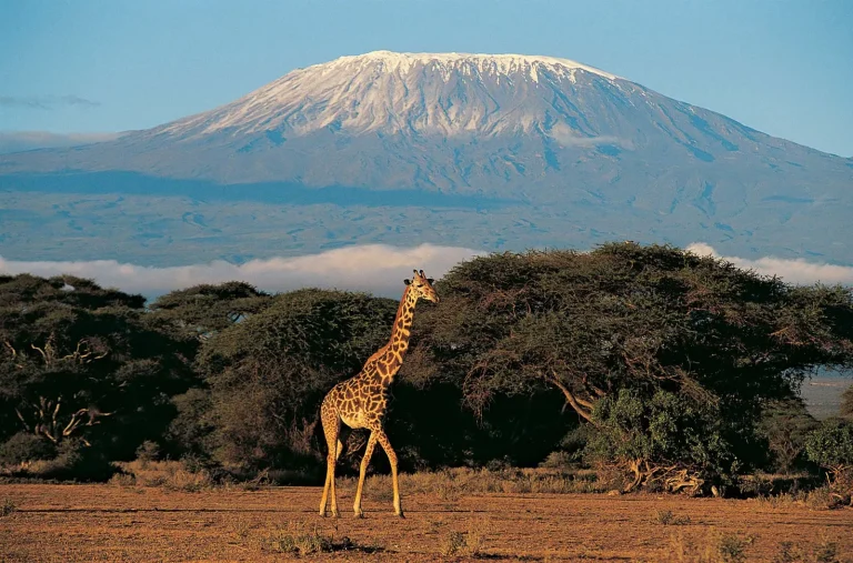 6-Day Striking Kilimanjaro via Marangu Route