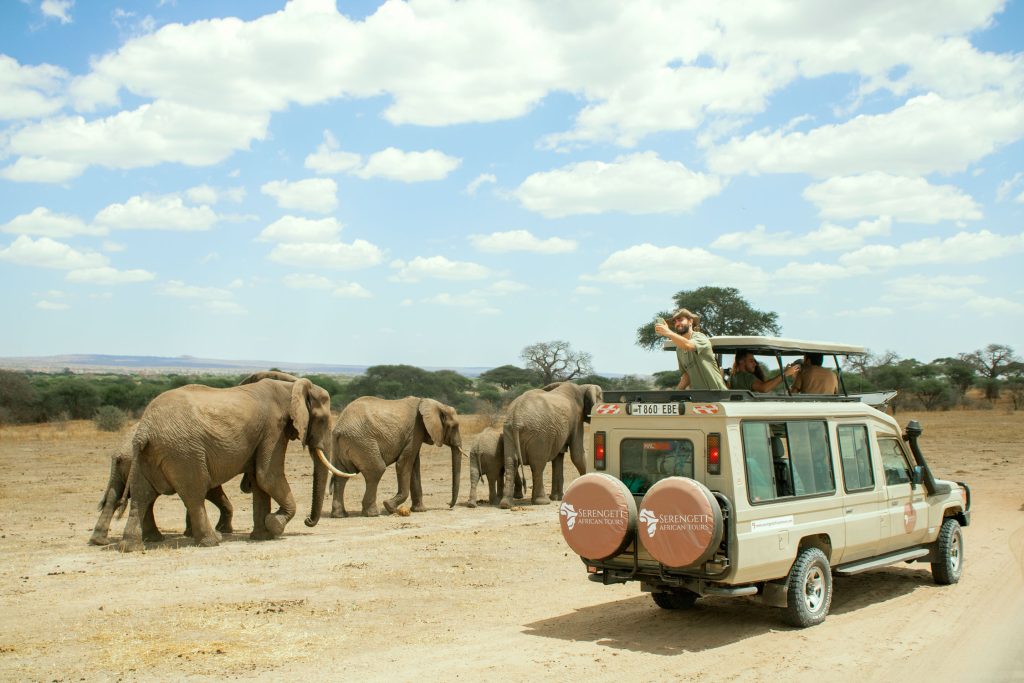 5-Day Tarangire, Serengeti & Ngorongoro Lodge Safari