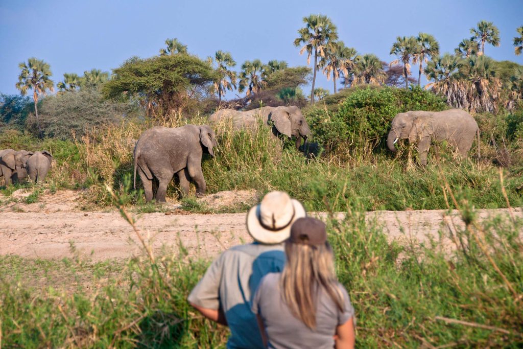 5-Day Romantic Anniversary Safari Escape